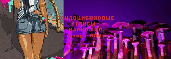 гидропоника Алзамай