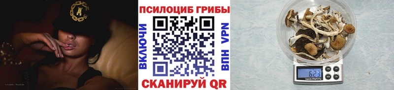 Псилоцибиновые грибы Magic Shrooms  мега как войти  Жигулёвск 